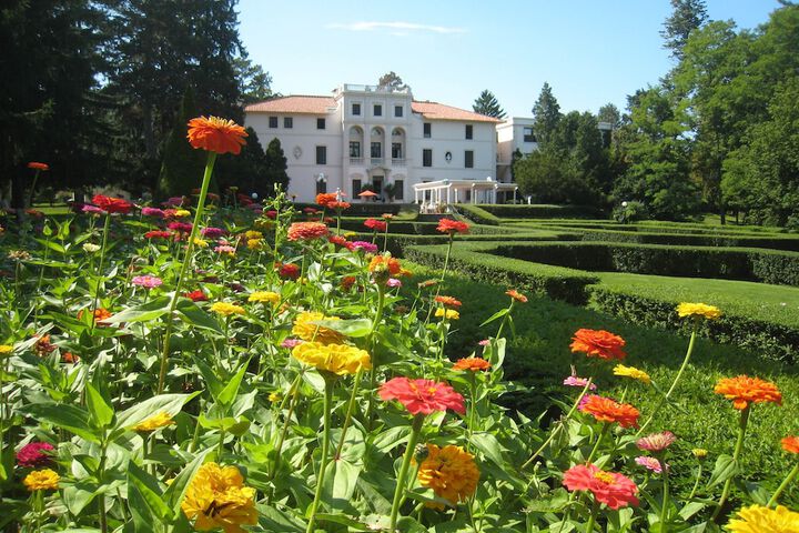 Property Grounds 48 of 62