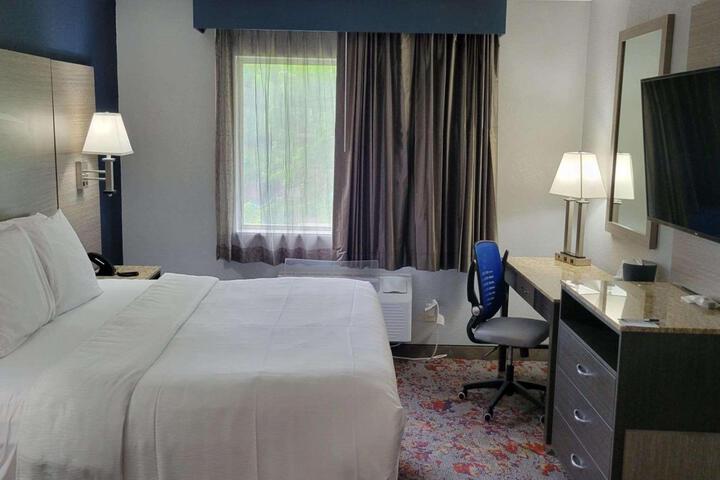 1 King Bed Easy Chair Microwave and Refrigerator Full Breakfast (12 of 16)