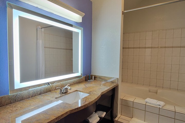 Standard with 1 King Bed (10 of 30)