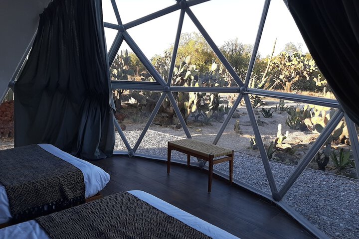 Room 7 of 37