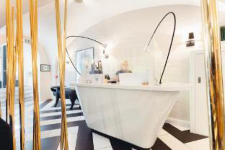 HOTEL LE LION