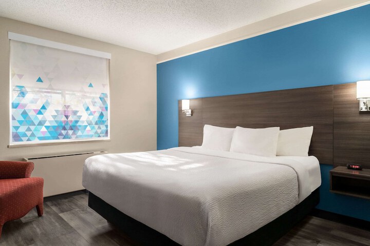 1 King Bed 1 Bedroom Executive Room (1 of 18)