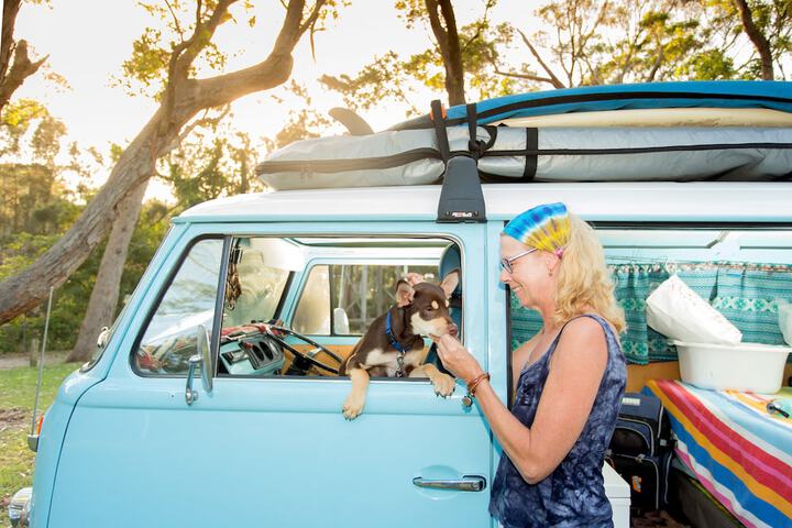 Pet Friendly 108 of 123