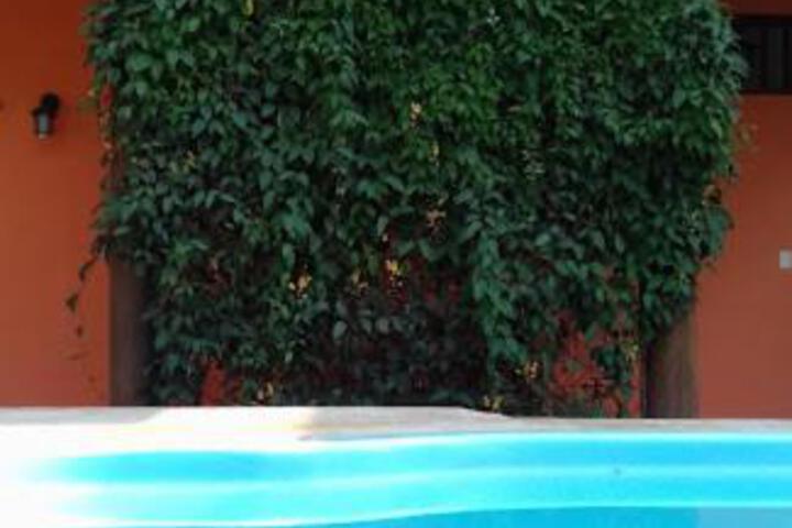 Photo 24