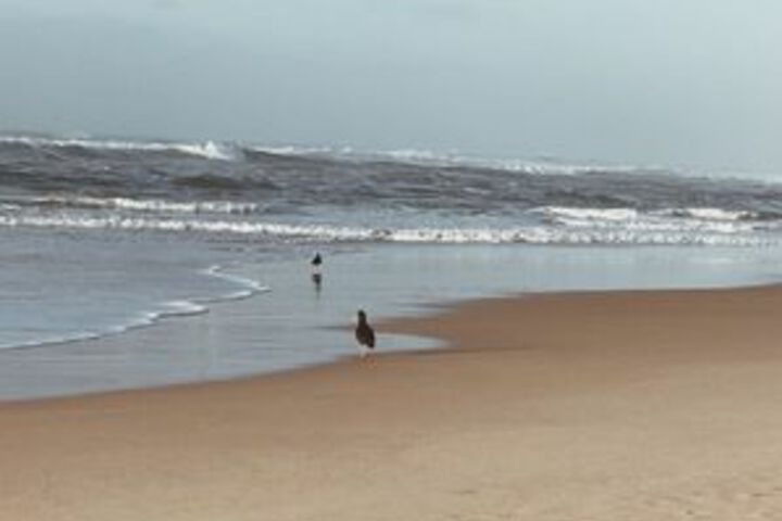 Beach 4 of 21