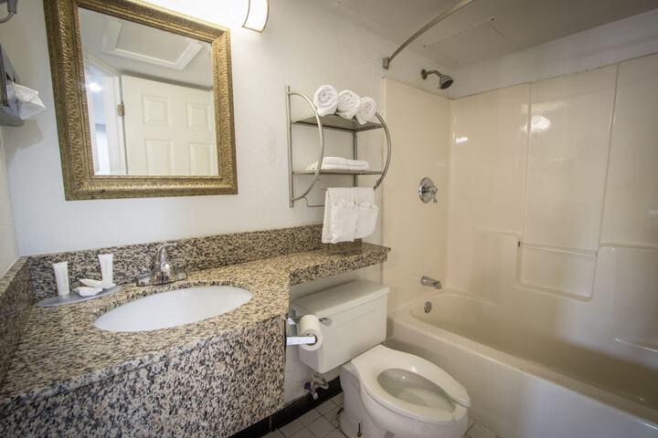 1 King Bed Pet Friendly Accessible (11 of 90)