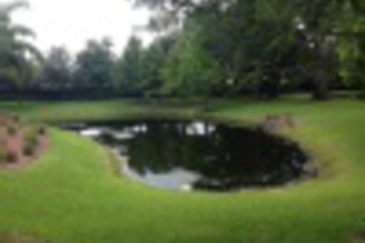 Property Grounds 16 of 323