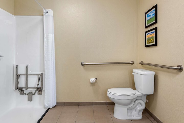 1 King Bed Suite (6 of 9)