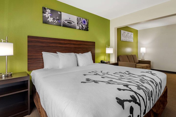 1 King Bed (17 of 17)