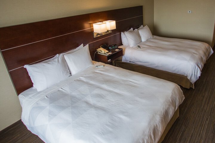 2 Queen Beds (2 of 6)