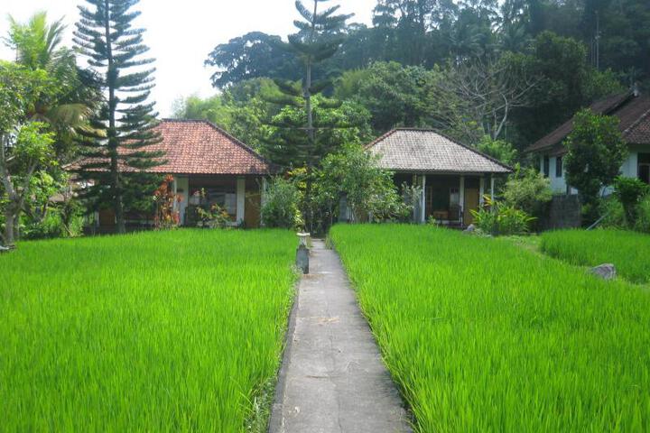 Good Karma Homestay and Restaurant