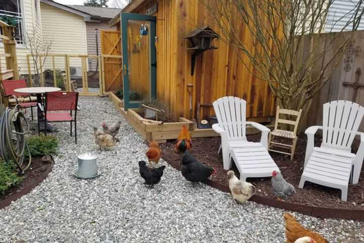 Property Grounds 29 of 31