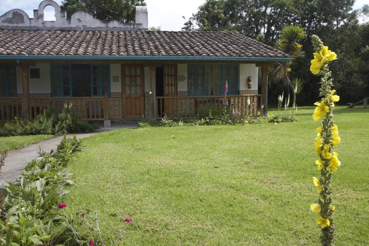 Property Grounds 30 of 41