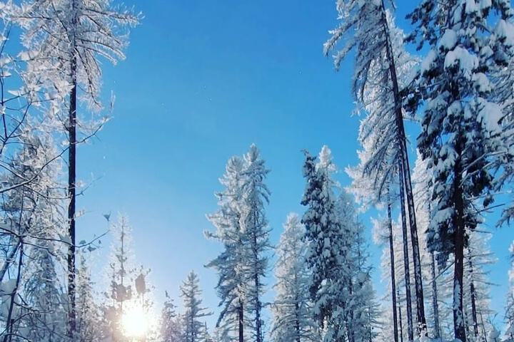 Outdoor Activities 18 of 24