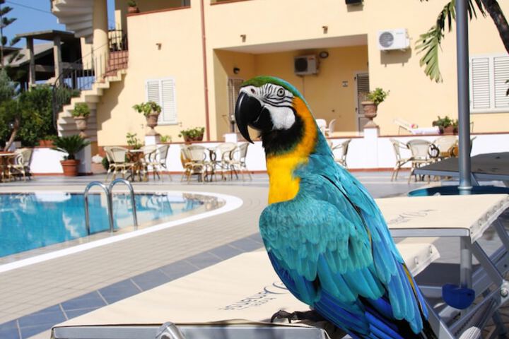 Pool Photo