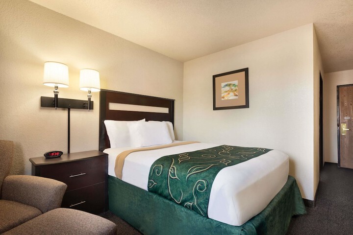 1 Queen Bed Accessible Room (1 of 13)