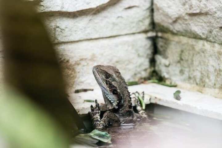 Hotel Exterior 40 of 42