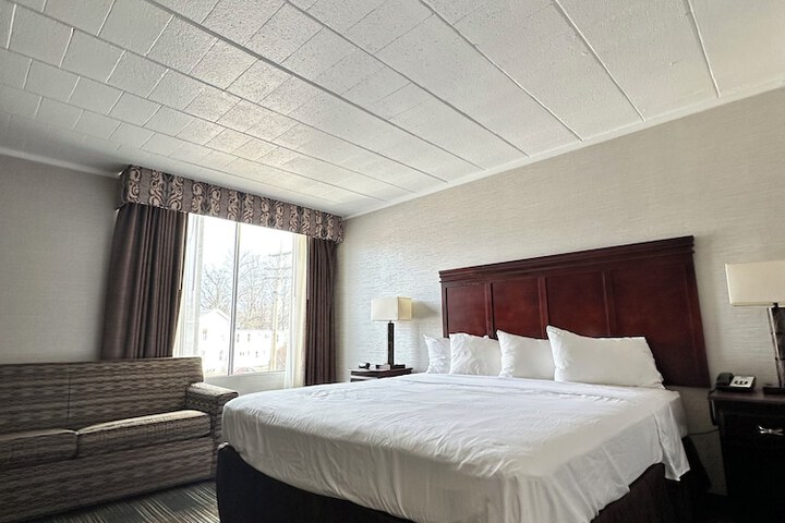 Deluxe King Bed (6 of 10)