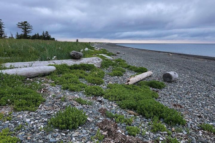 Beach 41 of 50