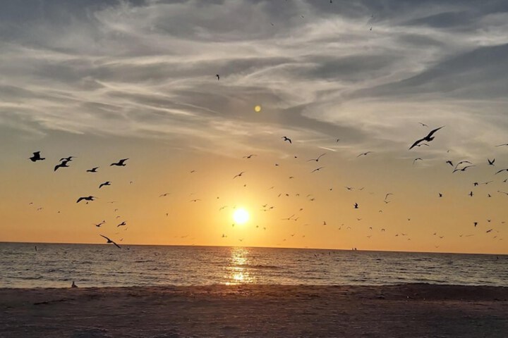 Beach 36 of 60