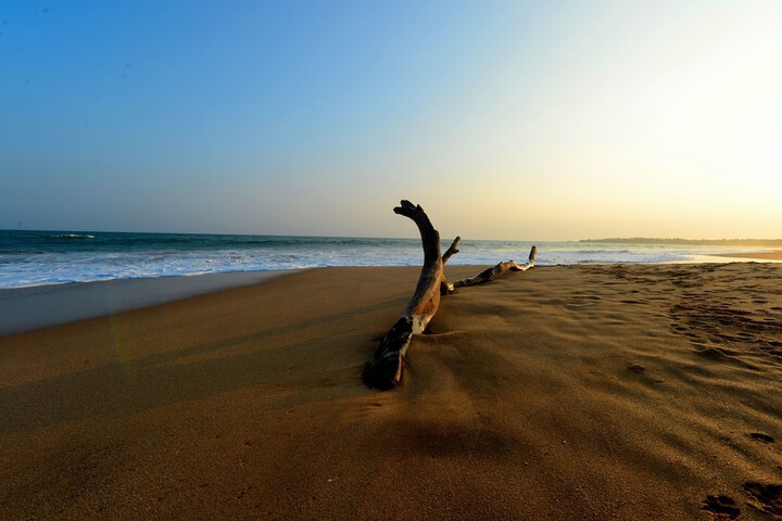 Beach 95 of 130