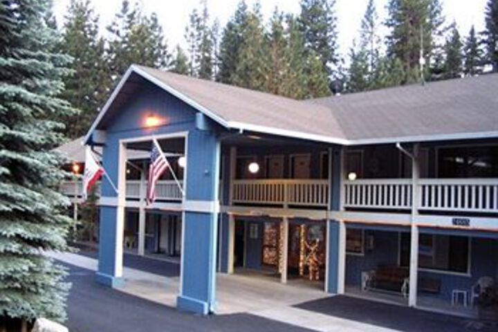 Image of Christmas Tree Inn