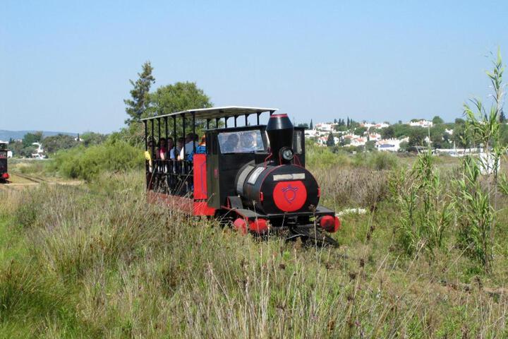 General 3 of 32