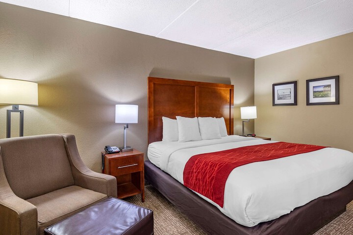 1 King Bed (11 of 13)