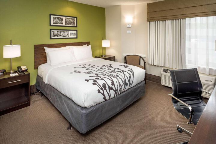 1 Queen Bed Accessible (1 of 13)