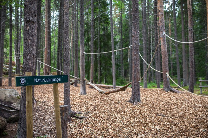 Property Grounds 30 of 40