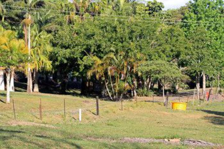 Property Grounds 37 of 39