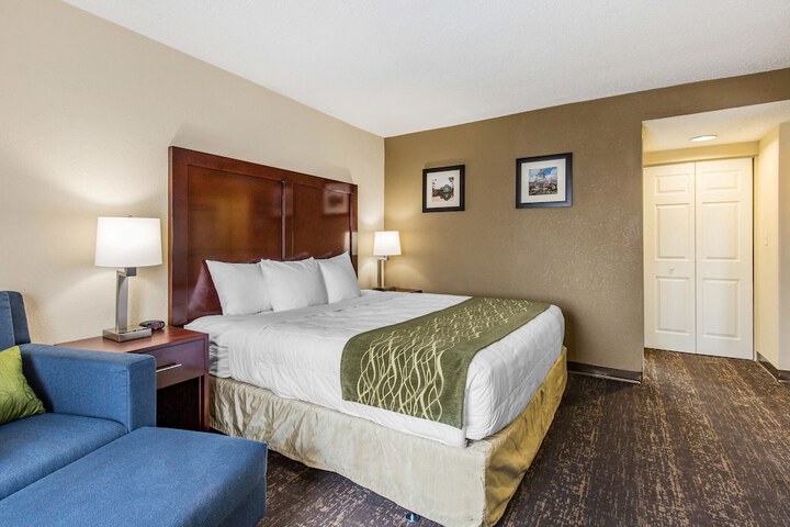 1 King Bed (6 of 8)