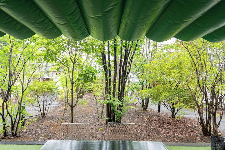 Terrace/Patio 43 of 55