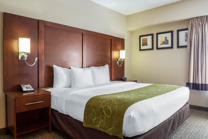 1 King Bed (6 of 10)