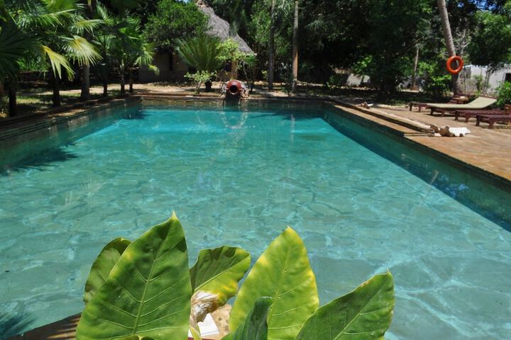 Pool 33 of 174