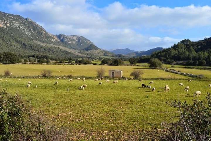 Ecotours