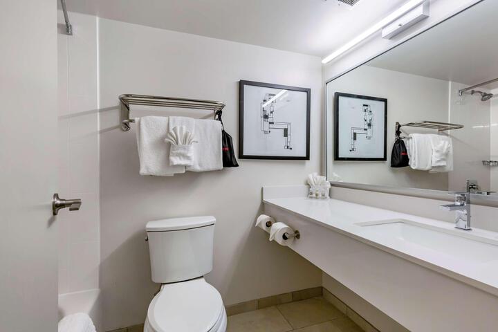 2 Queen Beds Bathtub Accessible (7 of 8)