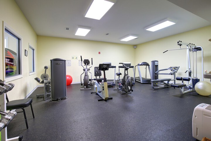 Gym & Fitness