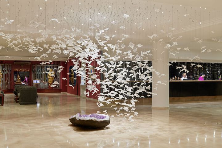 Entrance & Lobby