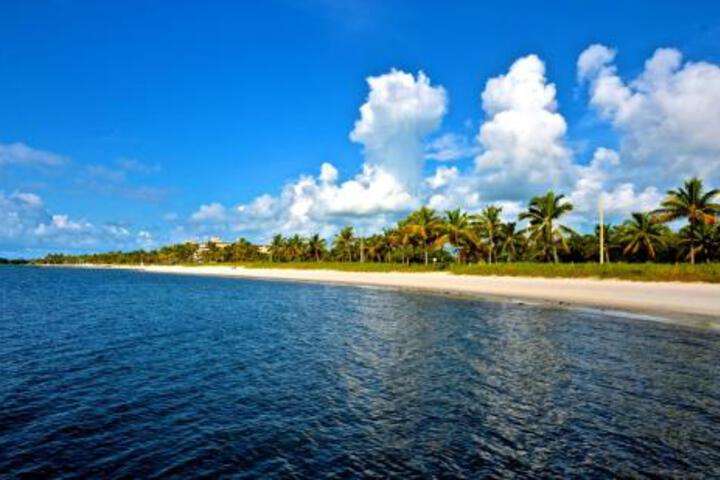 Image of Sunrise Suites Cayo Coco Suite #208