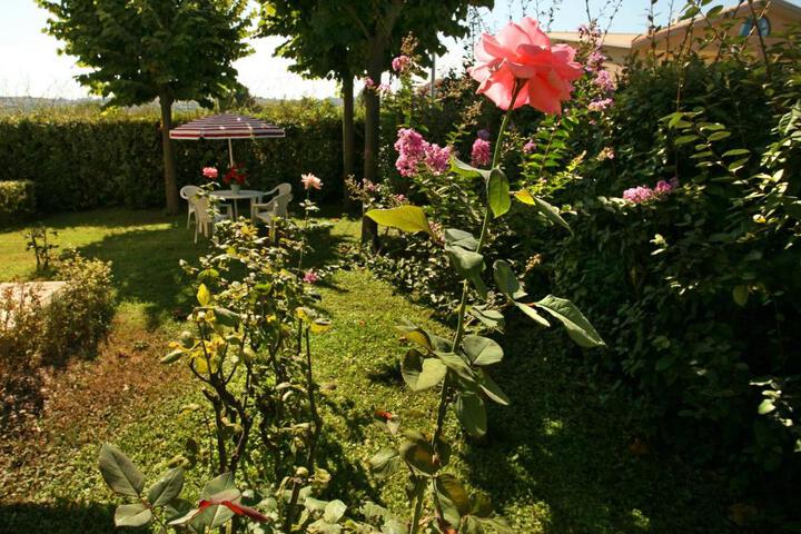 Spa and Wellness Pictures