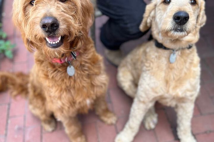 Hotel Interior 5 of 78