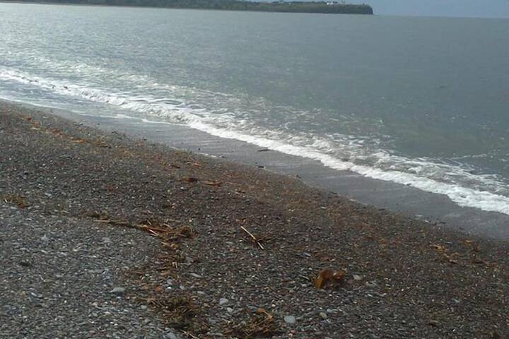 Beach 35 of 44