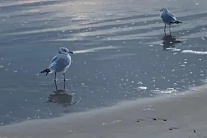 Beach 17 of 26