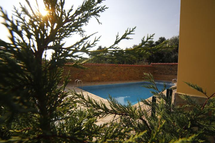 Pool 14 of 35