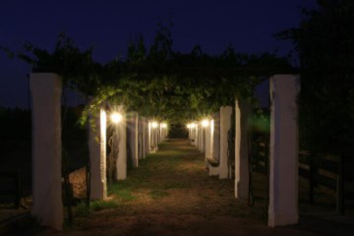 General 12 of 15