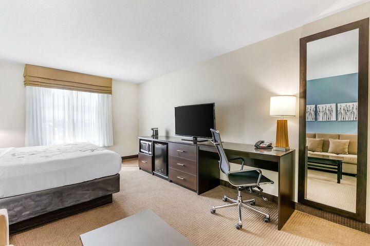 1 King Bed Mobility Accessible (6 of 29)