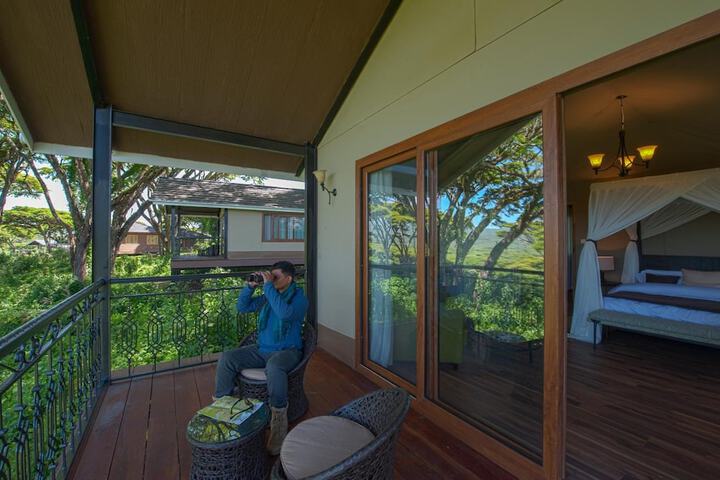 Terrace/Patio 12 of 44