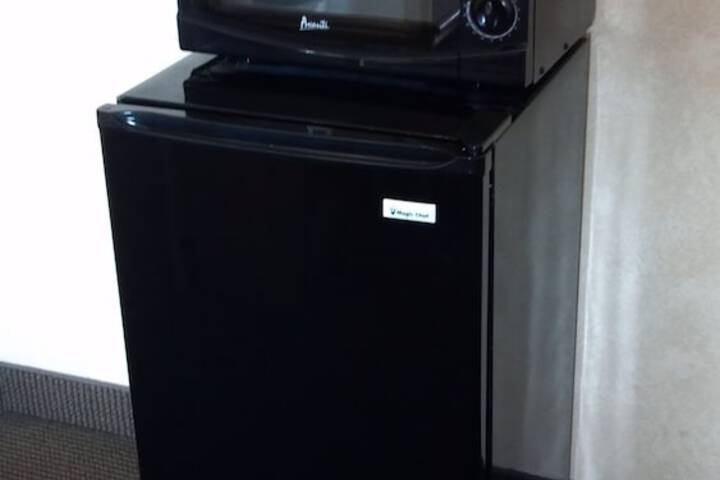 Mini-refrigerator