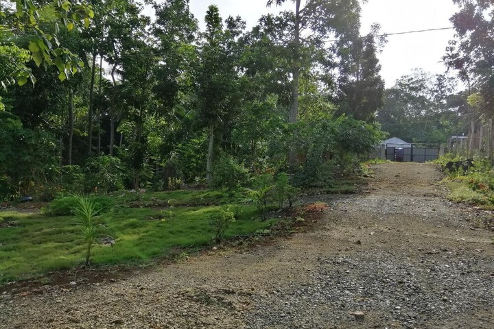 Property Grounds 12 of 22